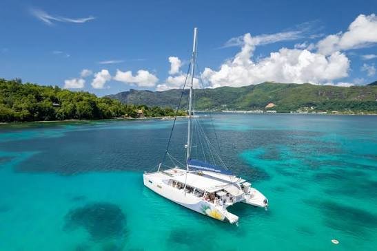 Catamaran cruise