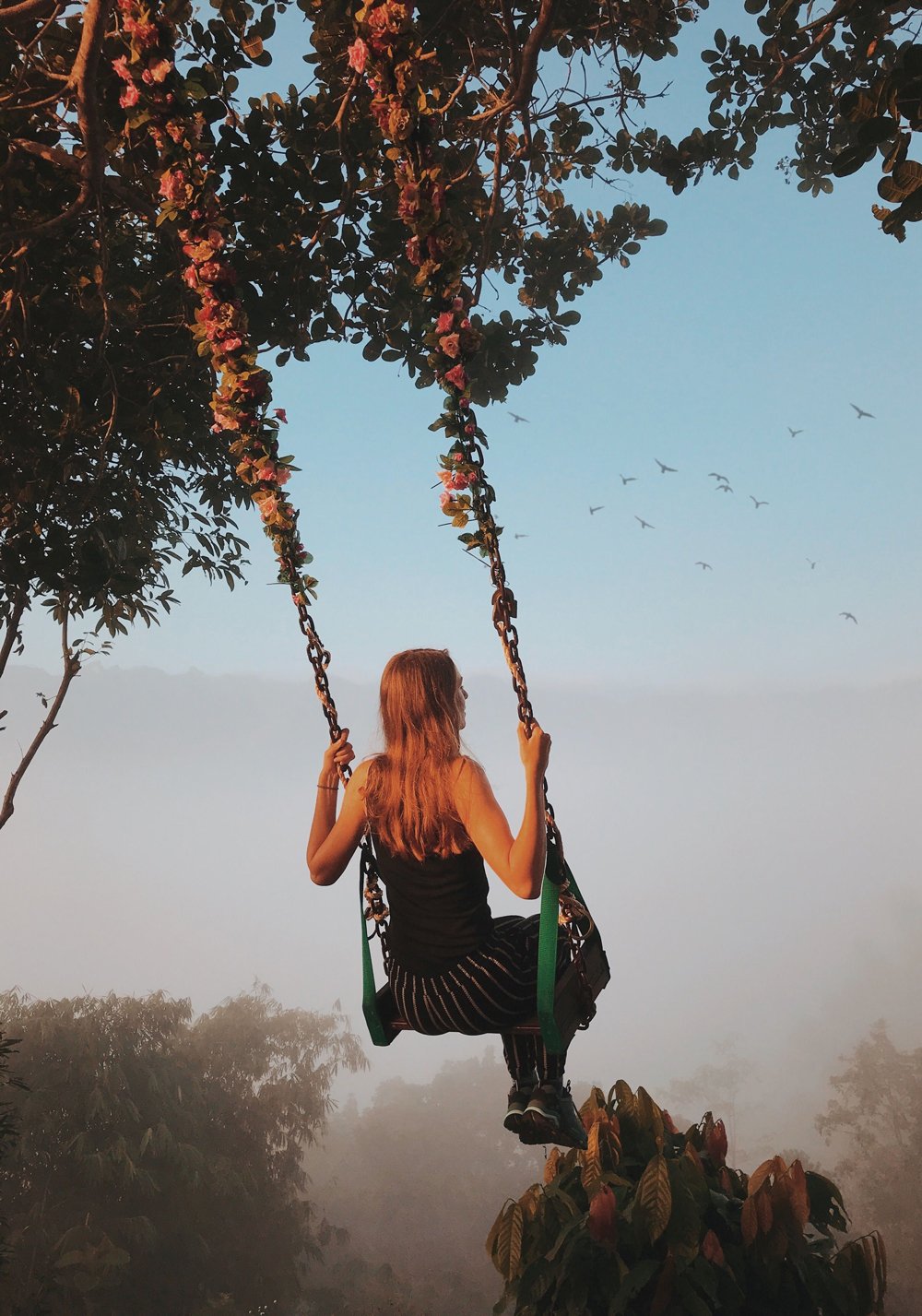 Jungle Swing